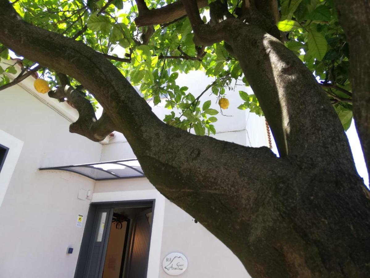 B&B Guest Armonie Torre del Greco Exterior foto