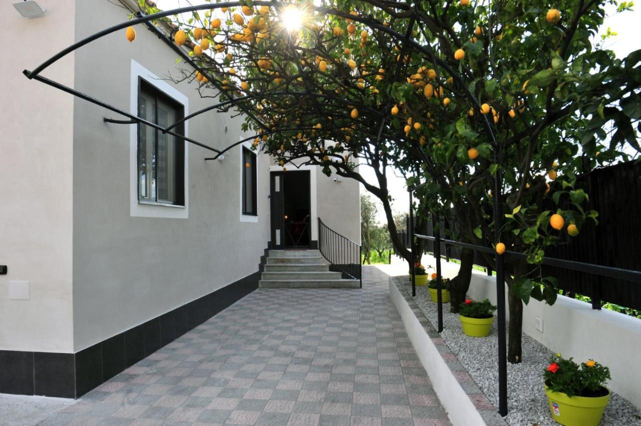 B&B Guest Armonie Torre del Greco Exterior foto